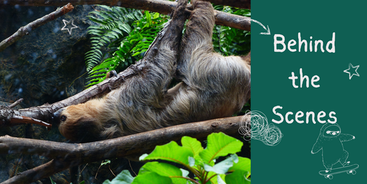 Behind the Sloth: How We Create Our Designs (And Why We Keep It Weird)