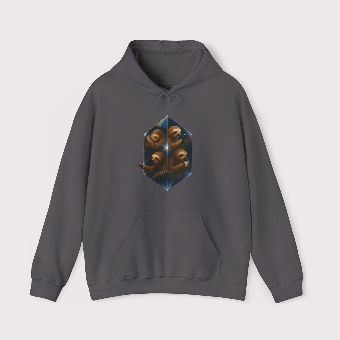 Sloth Prism Hoodie