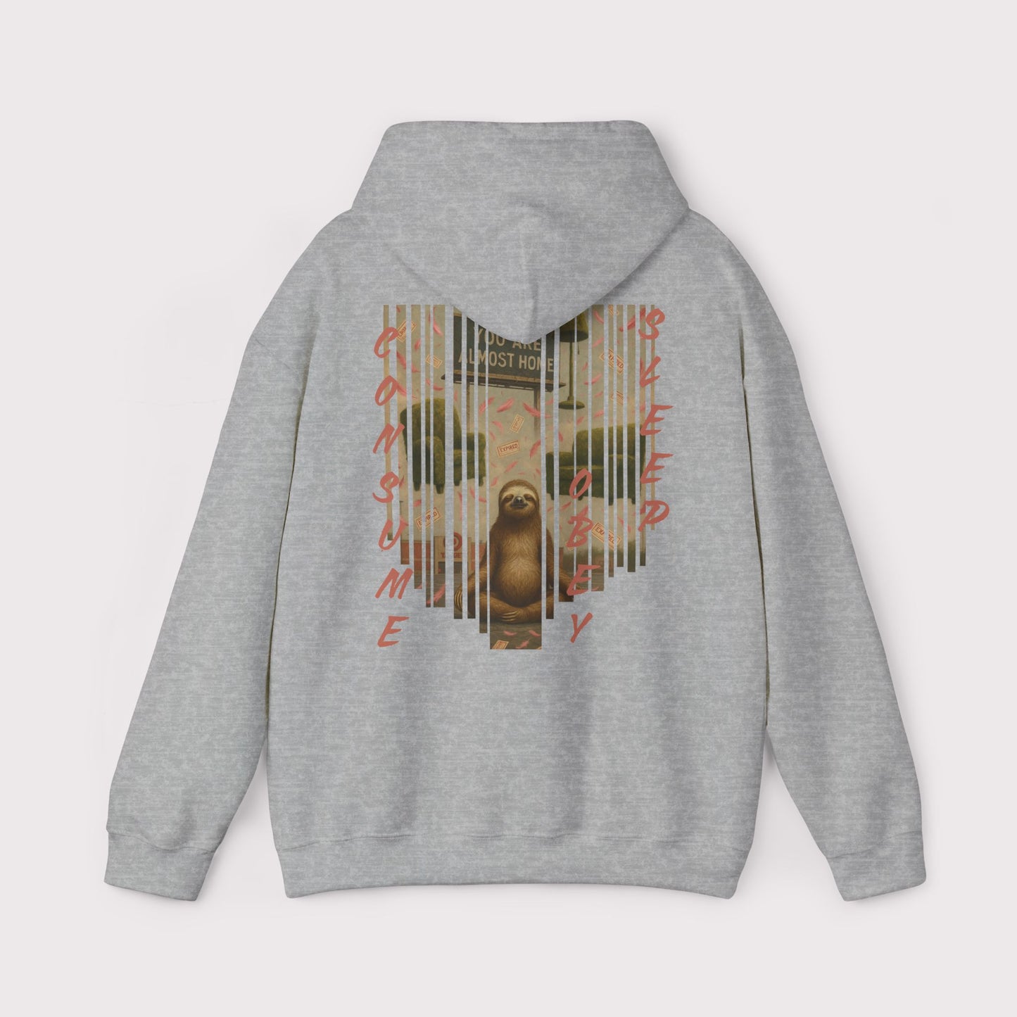 Consume Obey Sleep Sloth Hoodie