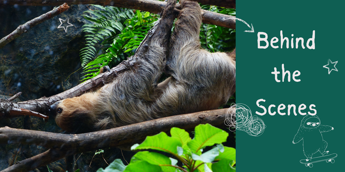 Behind the Sloth: How We Create Our Designs (And Why We Keep It Weird)