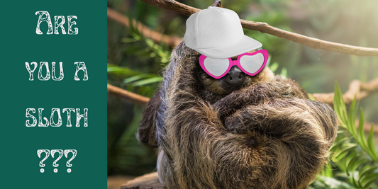 15 Signs You Might Be a Sloth in Human Form